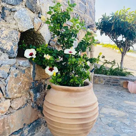 Mirabella